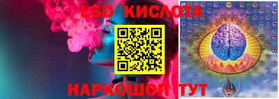 шишки Шелехов