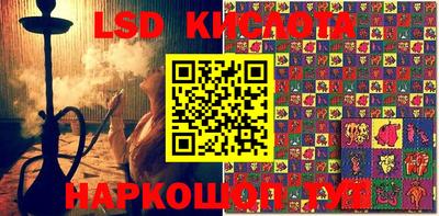 шишки Шелехов
