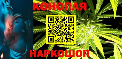 шишки Шелехов