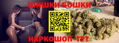 шишки Шелехов
