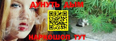 шишки Шелехов