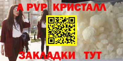 шишки Шелехов