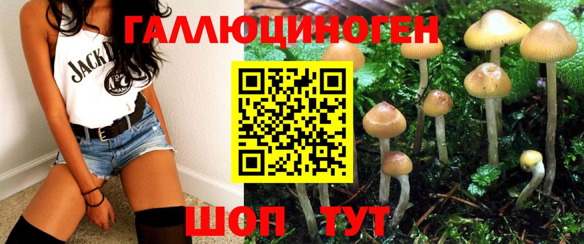 Асино  Галлюциногенные грибы Psilocybe  Вход с VPN  Галлюциногенные грибы мицелий 